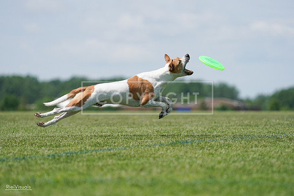 RielVisuals_20240525_121759_SJR09364