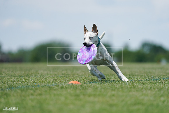 RielVisuals_20240525_120307_SJR08427
