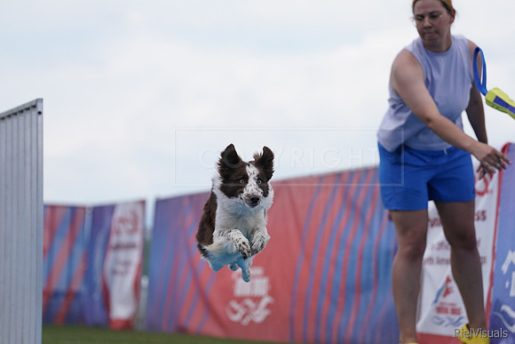 SJR00516