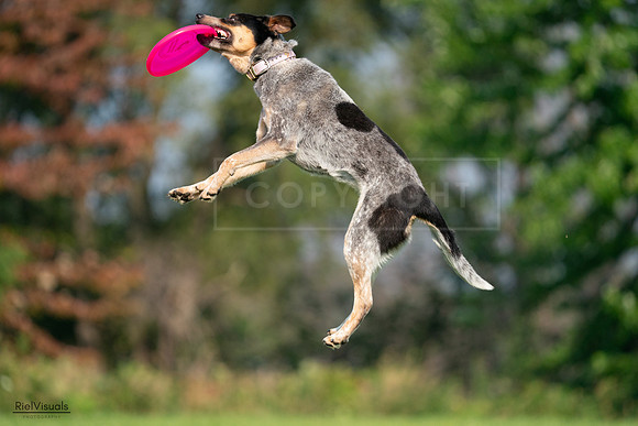 RielVisuals_20240727_093848_SJR07041