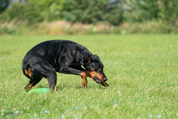 RielVisuals_20240728_103520_SJR08589