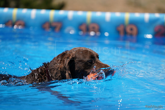 SJR00014