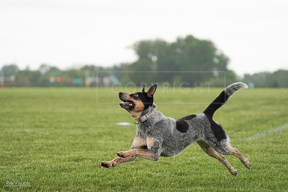 RielVisuals_20240526_094826_SJR01100