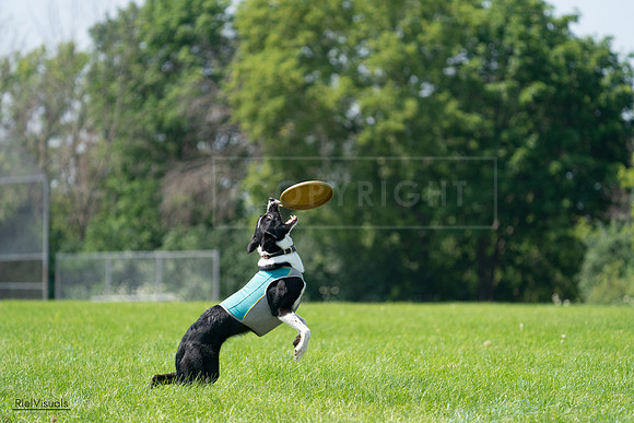 RielVisuals_20240728_115802_SJR02569