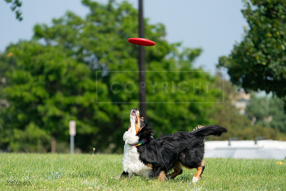 RielVisuals_20240728_101750_SJR07668