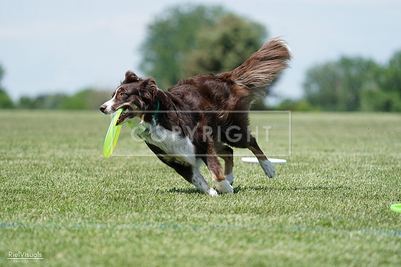 RielVisuals_20240525_120048_SJR08316