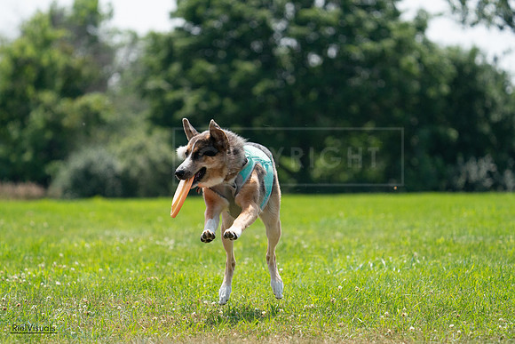 RielVisuals_20240728_140301_SJR07874
