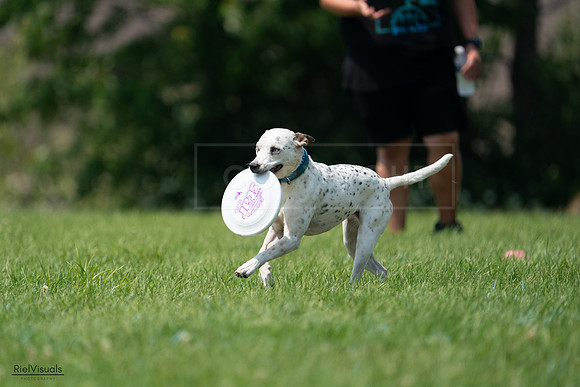 RielVisuals_20240727_134711_SJR08532