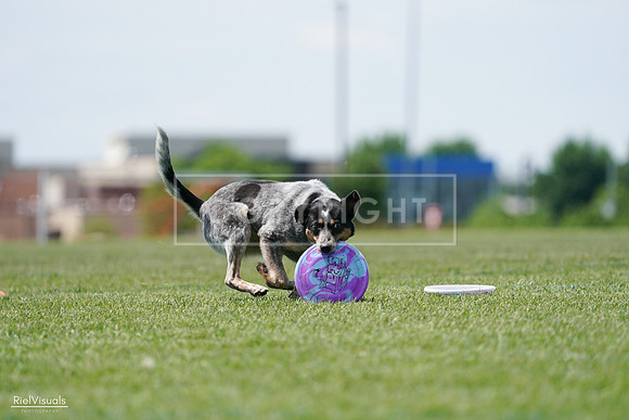 RielVisuals_20240525_122313_SJR09689