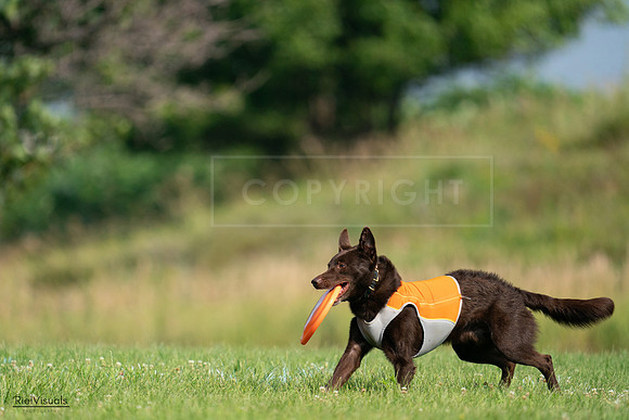 RielVisuals_20240728_095836_SJR06822