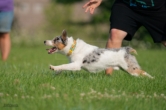 RielVisuals_20240727_092245_SJR06121