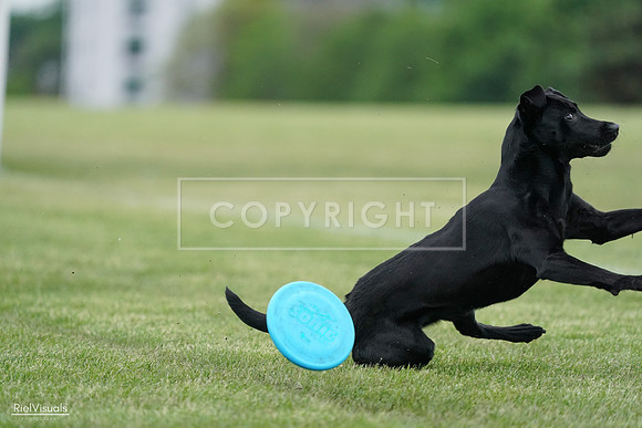 RielVisuals_20240525_170458_SJR06027