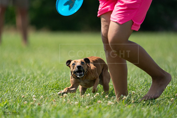 RielVisuals_20240728_150157_SJR09847