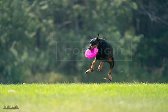 RielVisuals_20240727_121301_SJR05000