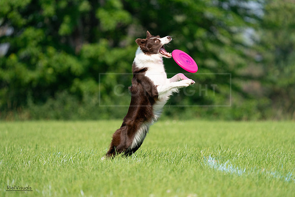 RielVisuals_20240727_095817_SJR08124