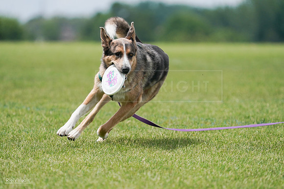 RielVisuals_20240527_141624_SJR02134