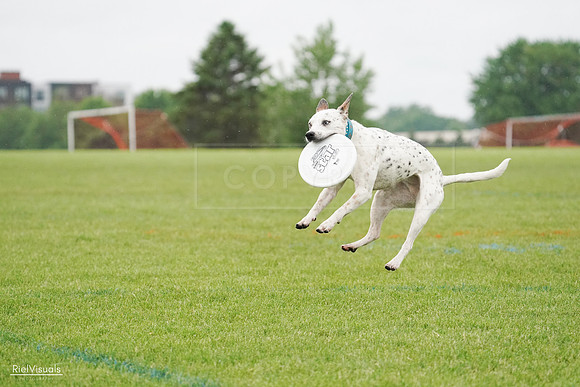 RielVisuals_20240527_105812_SJR02381