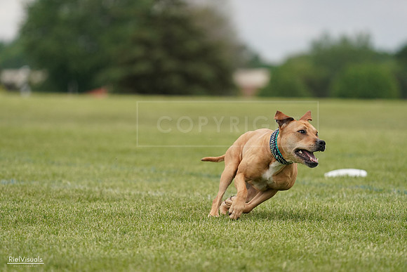 RielVisuals_20240526_135017_SJR09207