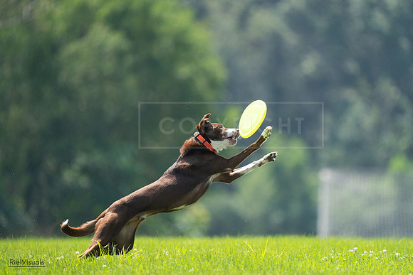 RielVisuals_20240727_123242_SJR05822