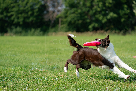 RielVisuals_20240728_101134_SJR07437