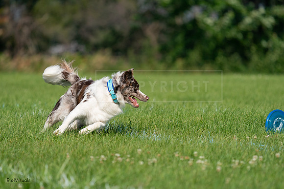 RielVisuals_20240728_100016_SJR06960