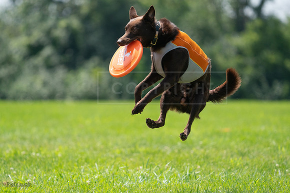 RielVisuals_20240728_130834_SJR05169