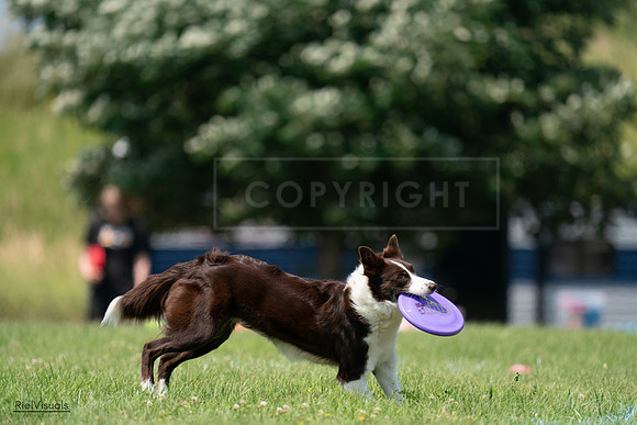 RielVisuals_20240727_140410_SJR09508