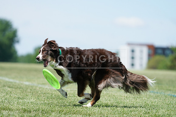 RielVisuals_20240525_120038_SJR08299