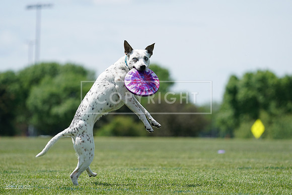 RielVisuals_20240525_120259_SJR08385