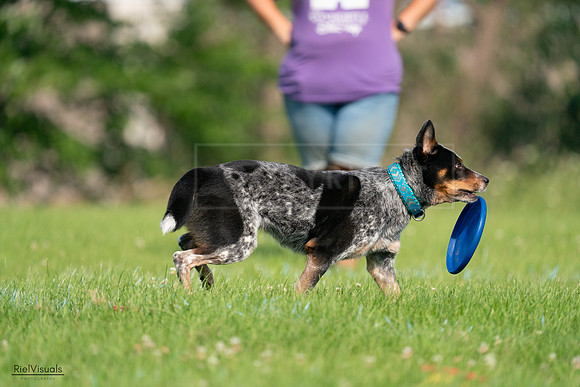 RielVisuals_20240727_094812_SJR07563