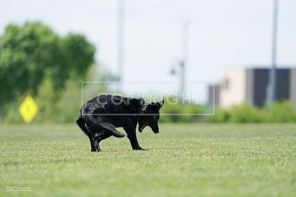 RielVisuals_20240525_122508_SJR09792