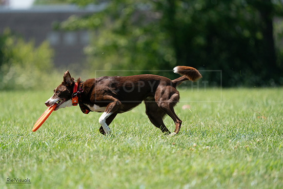 RielVisuals_20240728_151106_SJR00285