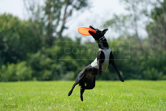 RielVisuals_20240728_114854_SJR02016
