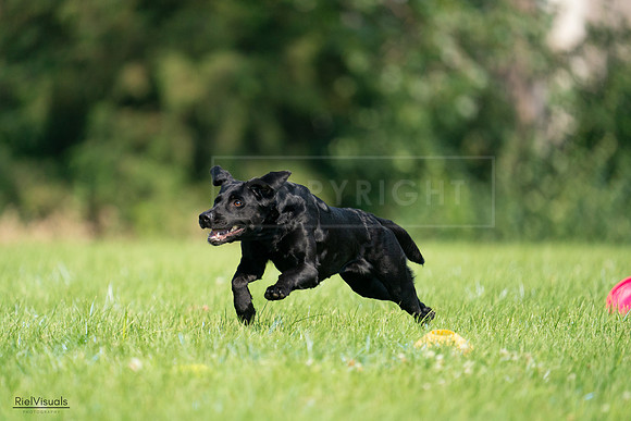 RielVisuals_20240727_100912_SJR08658