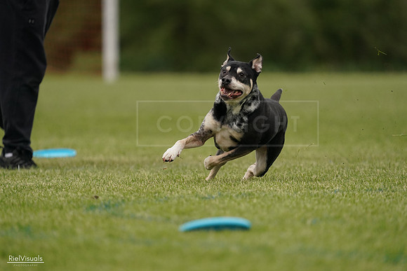 RielVisuals_20240526_134439_SJR08923