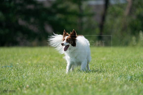 RielVisuals_20240728_145420_SJR09520