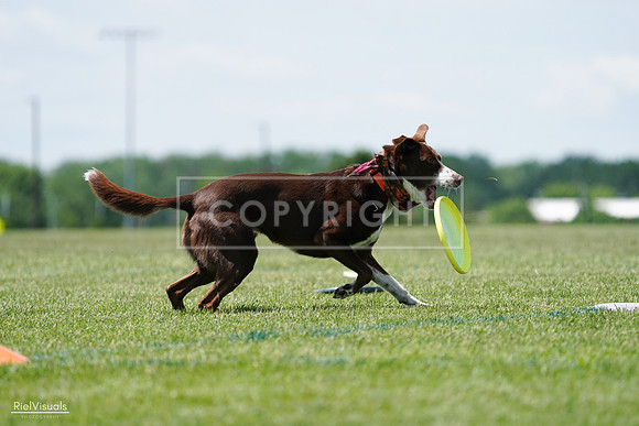 RielVisuals_20240525_122027_SJR09588