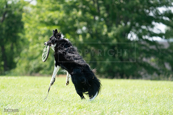 RielVisuals_20240728_152213_SJR00655