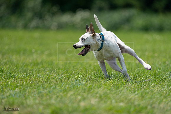 RielVisuals_20240728_140041_SJR07799