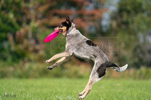 RielVisuals_20240727_093848_SJR07045
