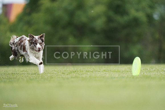 RielVisuals_20240525_161120_SJR03744