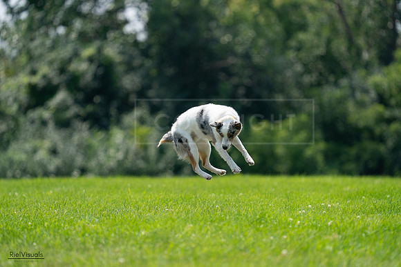 RielVisuals_20240728_130545_SJR05027