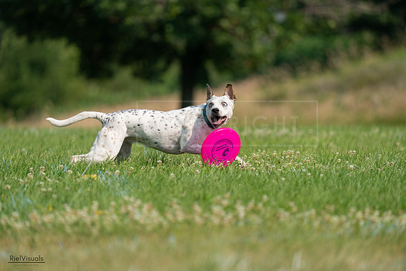 RielVisuals_20240727_095512_SJR08100