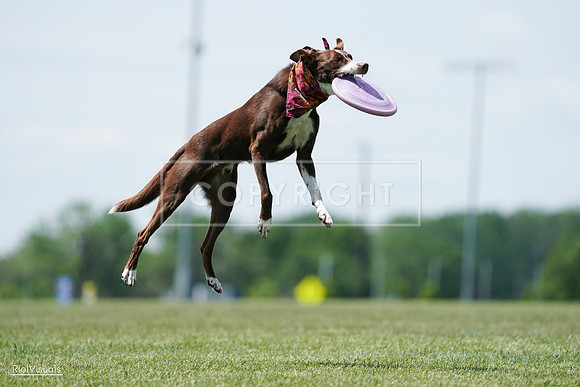 RielVisuals_20240525_121957_SJR09533