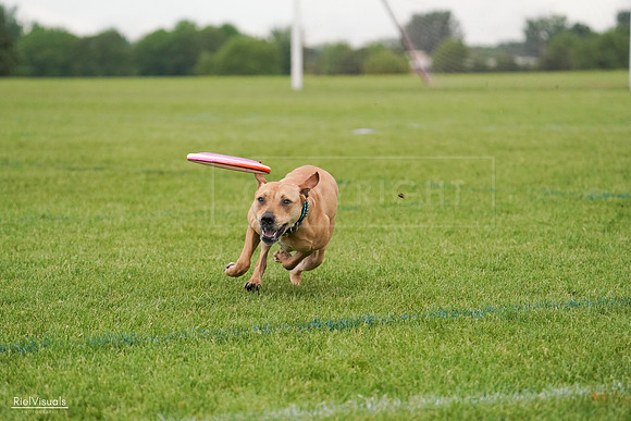 RielVisuals_20240527_111157_SJR03390