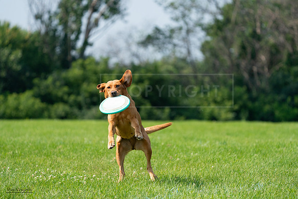 RielVisuals_20240728_104026_SJR08851