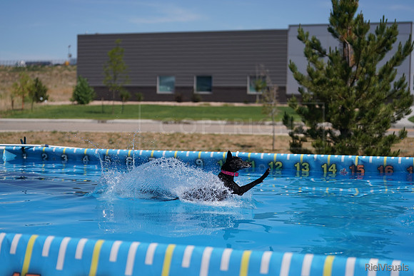 SJR08102
