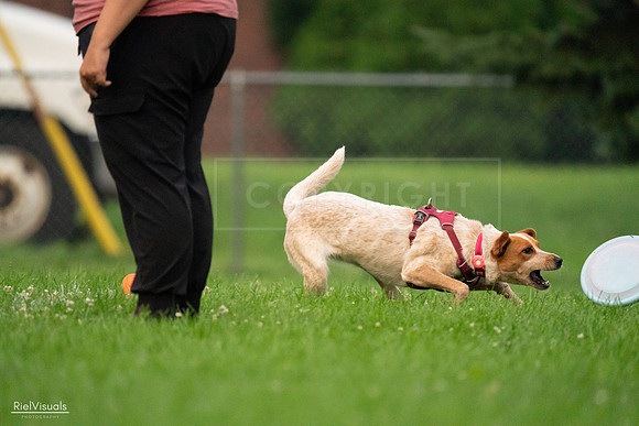 RielVisuals_20240722_201408_SJR03258