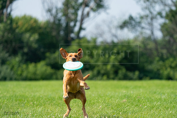 RielVisuals_20240728_104001_SJR08817
