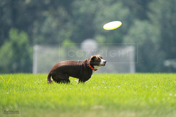 RielVisuals_20240727_123242_SJR05828